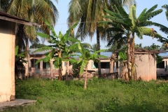 90-300-IMG_3885-1